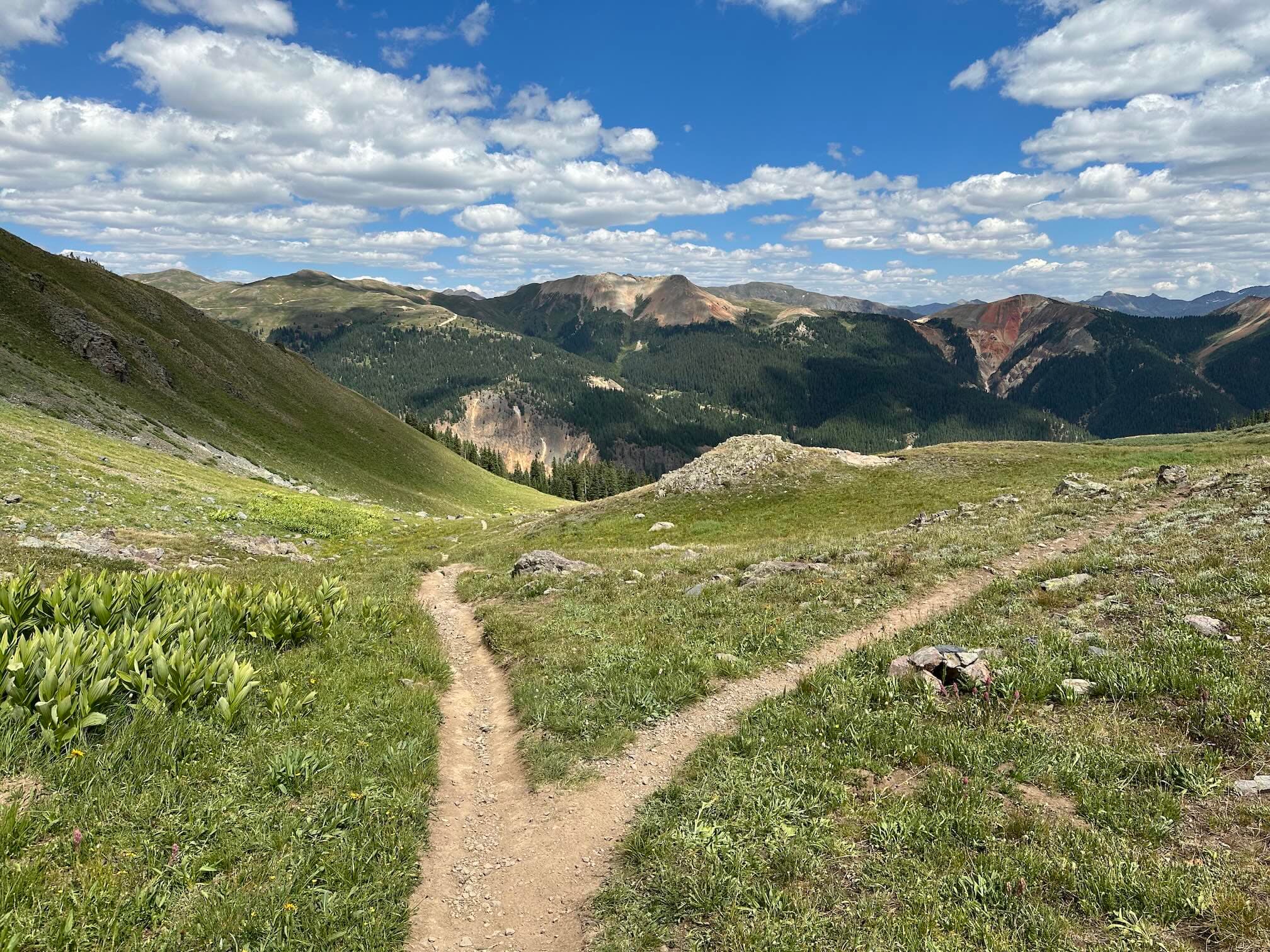 The turnoff (to the right) to the hut. This is the beginning of the “Treeline Traverse” trail.