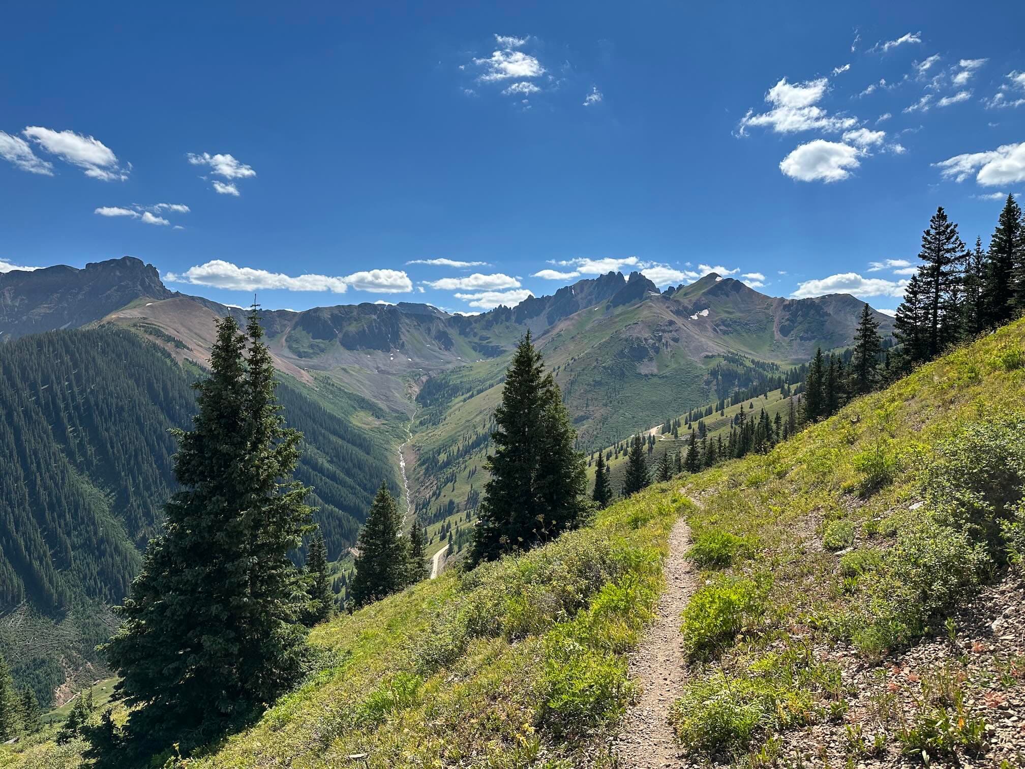 Treeline Traverse trail looking west toward Opus. Paradise Basin is far in the distance, and you can see a sliver of Ophir Pass Road.