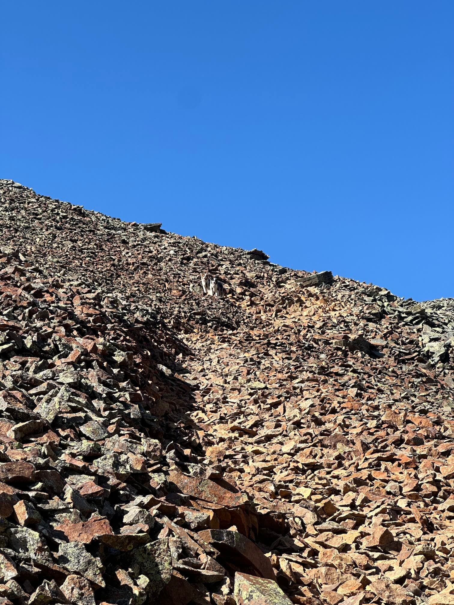 Photo along the route