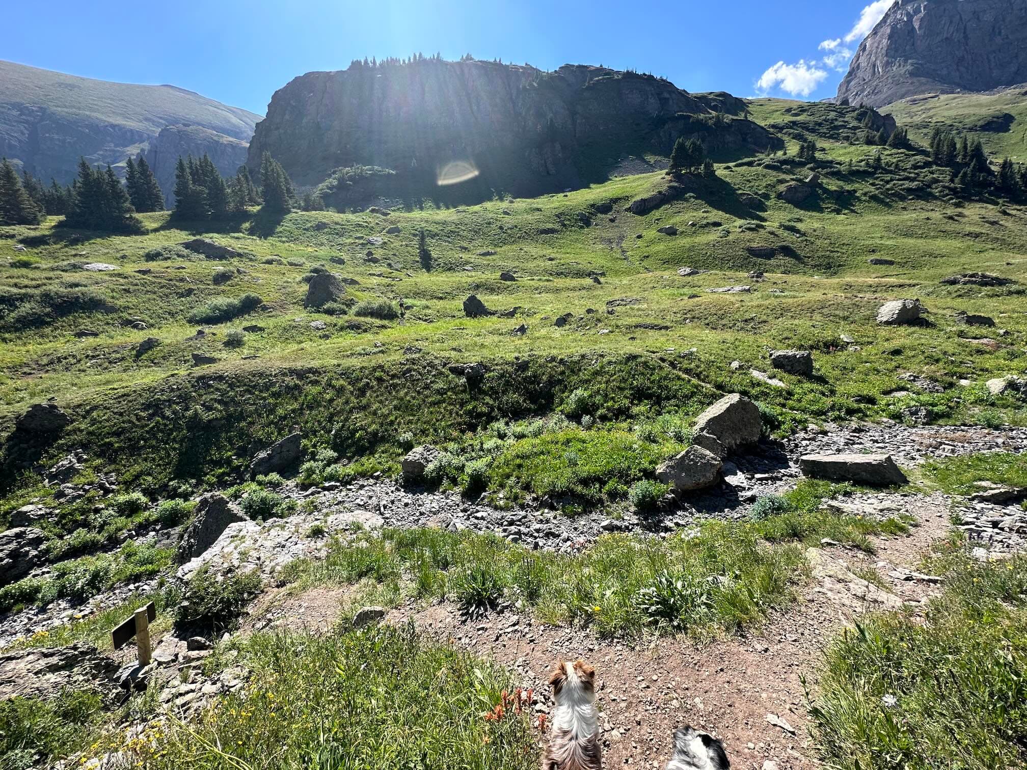 Wasatch Trail. To the left is down Bear Creek and down to Telluride; right and center is up the Wasatch trail to Lewis Lake Basin.